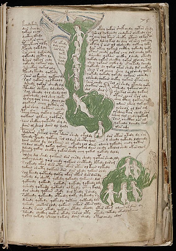 voynich manuscript book