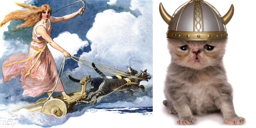 Cats Were Rare And Expensive During The Viking Age Spectacular