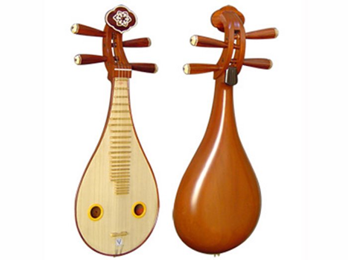 chinese two stringed instrument