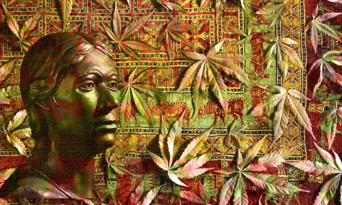 Yamna Culture Started Cannabis Trade 5,000 Years Ago | Ancient Pages