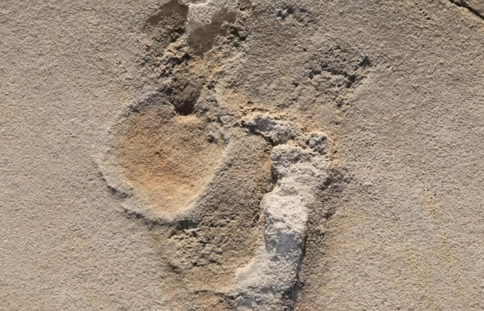 Oldest Footprints Of Pre-Humans Discovered In Crete