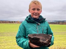 Raro tazón vikingo de madera de 1000 años de antigüedad encontrado por un niño