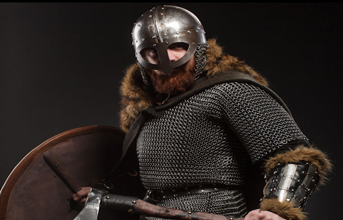 Hird – Viking Warriors And Professional Body Guards Prepared To Die For Their Leader