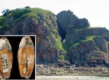 Evidence Of A Hybrid Population Of Neanderthals And Modern Humans Discovered At La Cotte De St Brelade