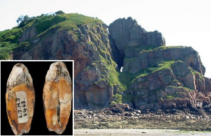 Evidence Of A Hybrid Population Of Neanderthals And Modern Humans Discovered At La Cotte De St Brelade