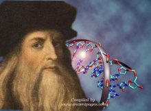 Leonardo Da Vinci tem 14 descendentes vivos do sexo masculino-revela estudo de ADN