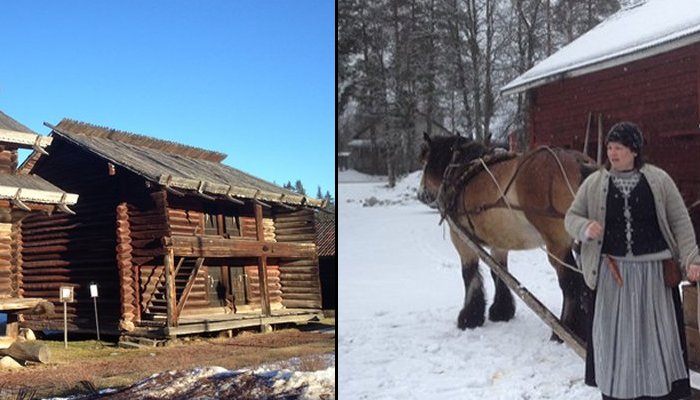 Preserve Elfdalian: Sweden's Secret Forest Language From The Viking Era