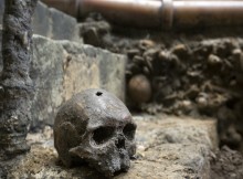 Some of the skulls found among the footings of Westminster Abbey’s south transept have square holes left by the pickaxes of 13th-century workman. Photograph: Dan Kitwood/Getty Images