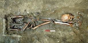 One of the skeletons excavated by York Archaeological Trust at Driffield Terrace (credit: York Archaeological Trust)