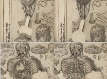 Medicine book digitized