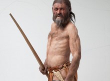 Researchers have now identified the presence of Helicobacter pylori in Ötzi's stomach contents, a bacterium found in half of all humans today.