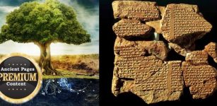 Was The Legendary Tree Of Life Located In The Grove Of Eridu?