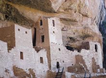 Cliff Palace dwellings; Mesa Verdse National Park