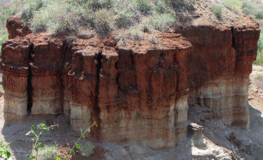 Spectacular Olduvai Gorge And Early Hominid Fossils Found In East Africa