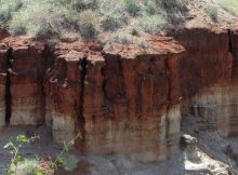 Spectacular Olduvai Gorge And Early Hominid Fossils Found In East Africa