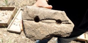 Evidence of producing fire in the region, in the form of ash and charcoal, already exists from the Old Stone Age – about 800,000 years ago; burnt seeds and flint chips were exposed at Gesher Bnot Ya'akov in the north of the country. Image: Israel Antiquities Authority