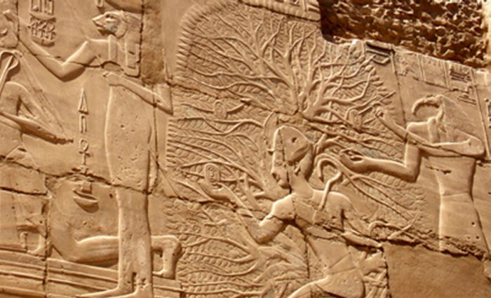 Ramses II, Tree of life, Karnak. Egyptian myths refer to the tree of life, because the first Egyptian gods were born from beneath of this tree. 
