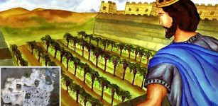 Biblical Vineyard Of Naboth Existed And Has Been Found