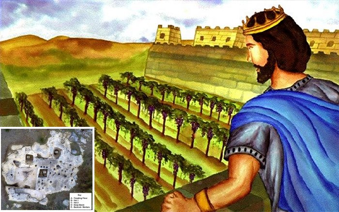 Biblical Vineyard Of Naboth Existed And Has Been Found - Ancient Pages