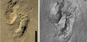 Controversial Discovery Of 5.7- Million-Year-Old Footprints On Crete Could Re-Write History Of Human Evolution