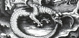 Engraving of a wyvern-type ouroboros by Lucas Jennis, in the 1625 alchemical tract De Lapide Philosophico. The figure serves as a symbol for mercury.