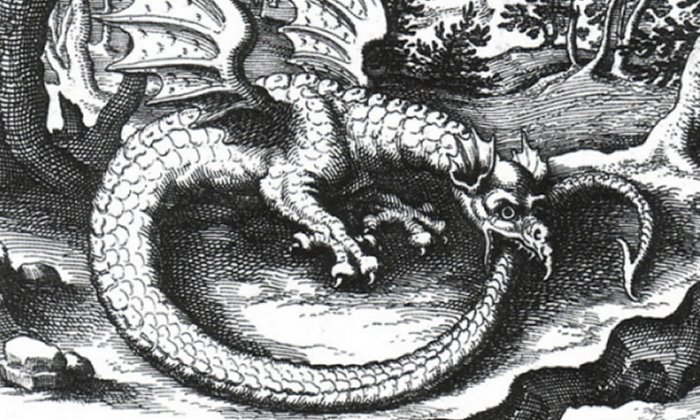 Engraving of a wyvern-type ouroboros by Lucas Jennis, in the 1625 alchemical tract De Lapide Philosophico. The figure serves as a symbol for mercury.