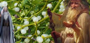 Mistletoe – Sacred Celtic Plant With Magical Properties