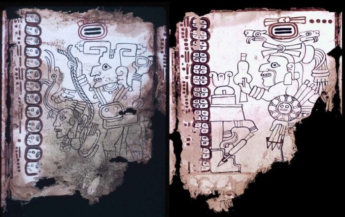 Grolier Codex - Oldest, Unique, Genuine Pre-Columbian Maya Manuscript That Survived Spanish Inquisition