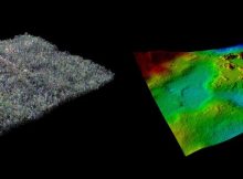 A comparison of LiDAR data showing the ancient Maya site of El Zotz covered in trees (left), and with the trees digitally removed. Image : Ithaca College