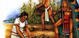 Slaves In The Aztec Empire Had Much Better Rights Than In Any Other Ancient Society