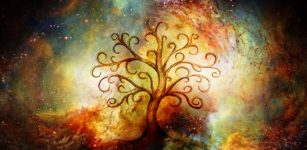 Celtic Tree of Life