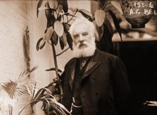 Bell had long been fascinated by the idea of transmitting speech, and by 1875 had come up with a simple receiver that could turn electricity into sound. In March 1876, Bell was granted a patent for the telephone and it developed quickly.