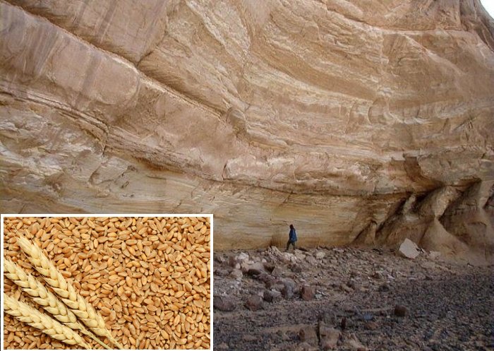 10,000-Year-Old Seeds - First-Known Evidence Of Farming In Sahara