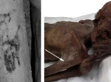 World’s Oldest Tattoos Discovered On Egyptian Mummies Re-Write History Of Tattoos