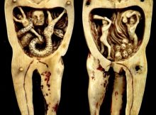 'The Battle Of The Tooth Worm' - Strange Ivory Carving