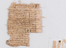 1 / 3 After conservation: Cleaned, smoothed and consolidated. Because papyrus fragments are very fragile, they are mounted between two glass plates. This way, the papyrus can be easily handled and read without endangering it. (Photo: University of Basel)