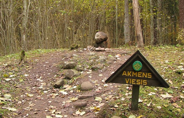 Is Mysterious Pokaini Forest An Ancient Healing Center And Anomalous Zone?