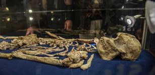Meet ’Little Foot' – A New Species Of Early Human