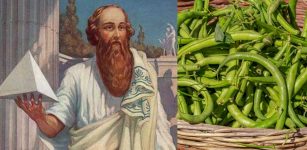 Why Didn't Pythagoras And His Followers Eat Beans?