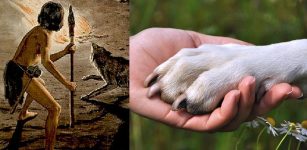 26,000-Year-Old Footprints In Chauvet Cave: Oldest Evidence Of Human-Canine Relationship