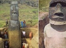 Easter Island Statues