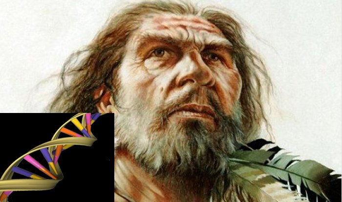 Denisovan Family Tree: New Branches Revealed In Ancient DNA - Ancient Pages