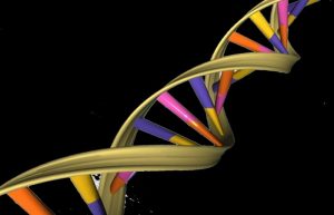 Denisovan Family Tree: New Branches Revealed In Ancient DNA - Ancient Pages