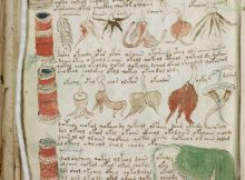 voynich manuscript