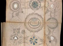 voynich manuscript