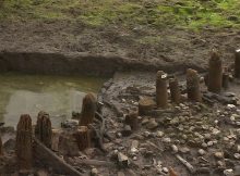 The Pompeii Of The Fens: Ancient Village In Cambridgeshire Burned Down 3,000 Years Ago For Unknown Reasons