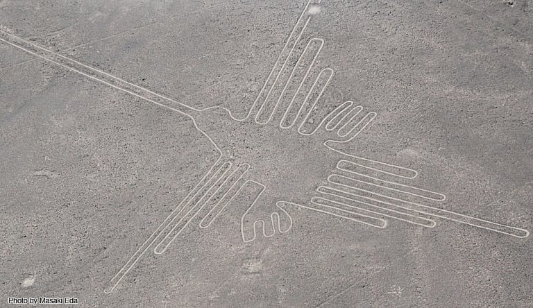 Nasca Lines: Researchers Identify 16 Bird Geoglyphs Drawn On Desert ...