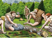 neanderthals