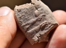 The finds also include inscribed clay tablets and unrolled seals. In this way the LMU archaeologists learn a lot about the lives of the residents of the house, such as what the landlord and mistress of the house were called and that they also taught reading and writing in their house. Credit: A. Otto/LMU; Berthold Einwag