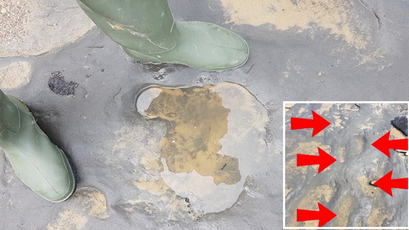 Oldest Footprints In Europe Belonged To A Mysterious 950,000-Year-Old Ancestor